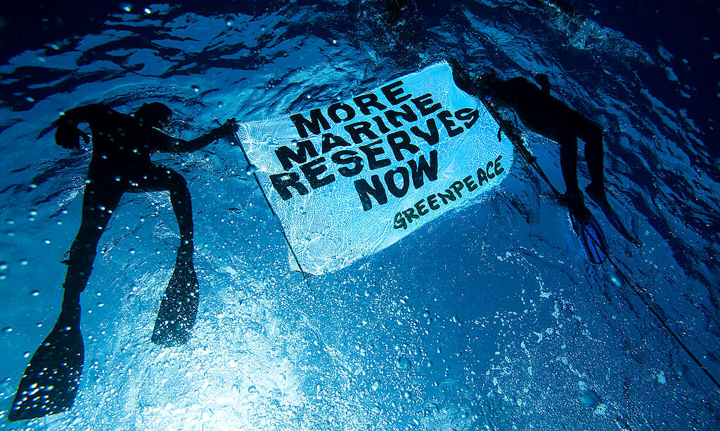 Greenpeace Divers in the Pacific Ocean.