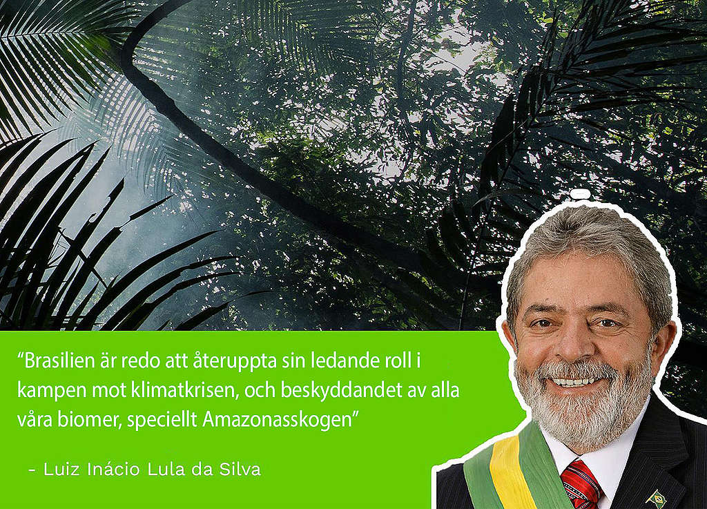 Bild på Brasiliens nya president Lula Da silva som lovar att skydda landets natur, särskilt amazonas