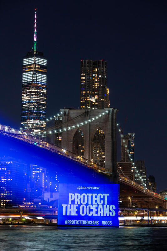 Projicering på Brooklyn Bridge under de globala havsförhandlingarna i New York med budskapet Protect the Oceans