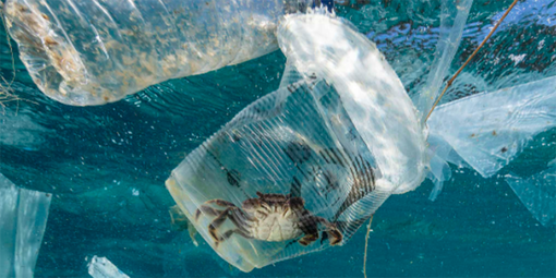 #plastihavet