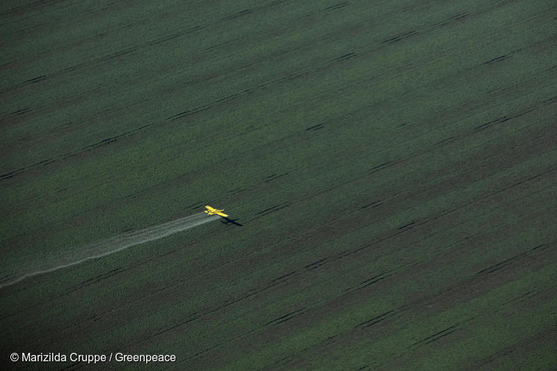 Airplane flies over green fields in South America, spraying pesticides.