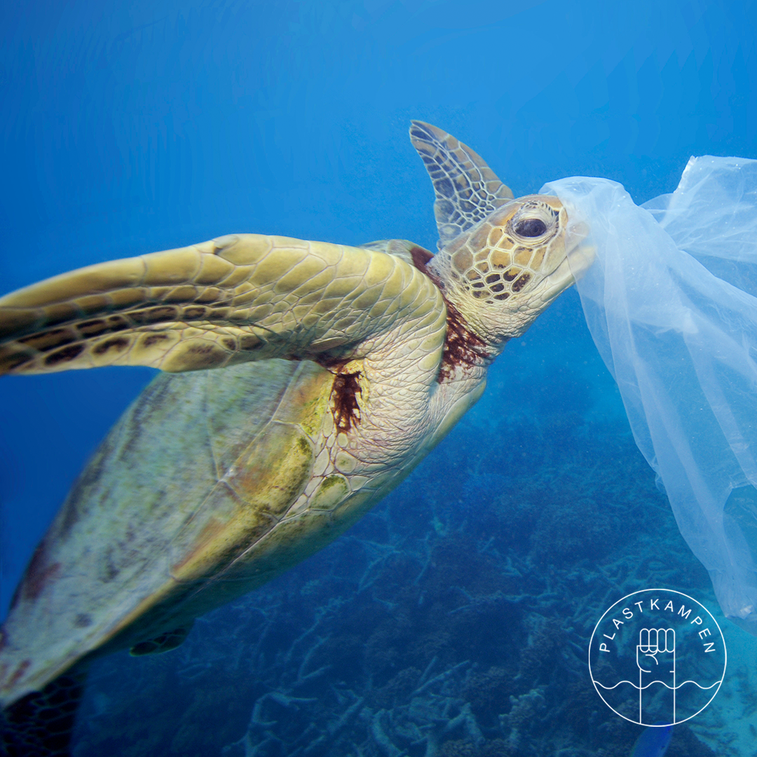 Stoppa plastkrisen!