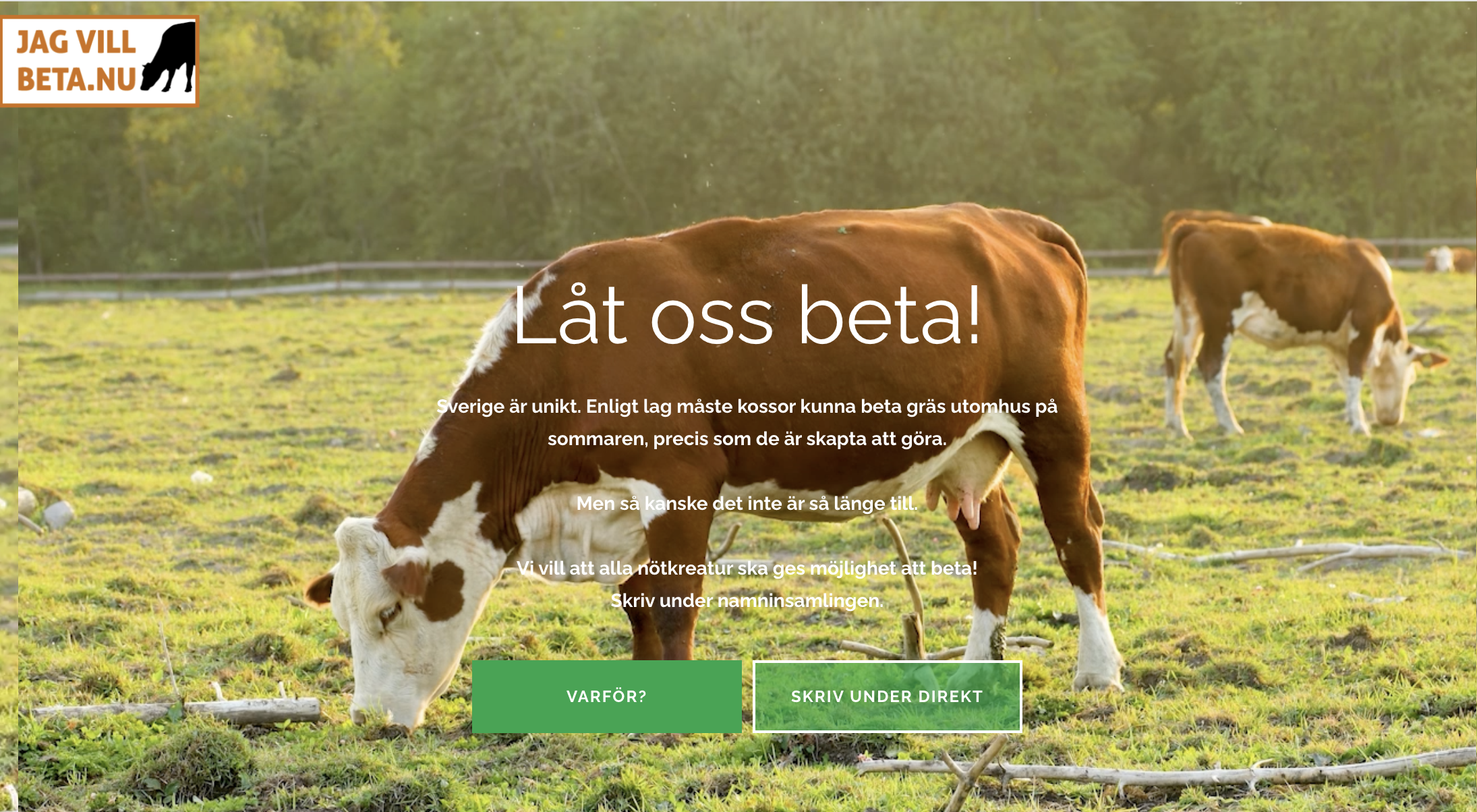 Jag vill beta – stå upp för kornas betesrätt!
