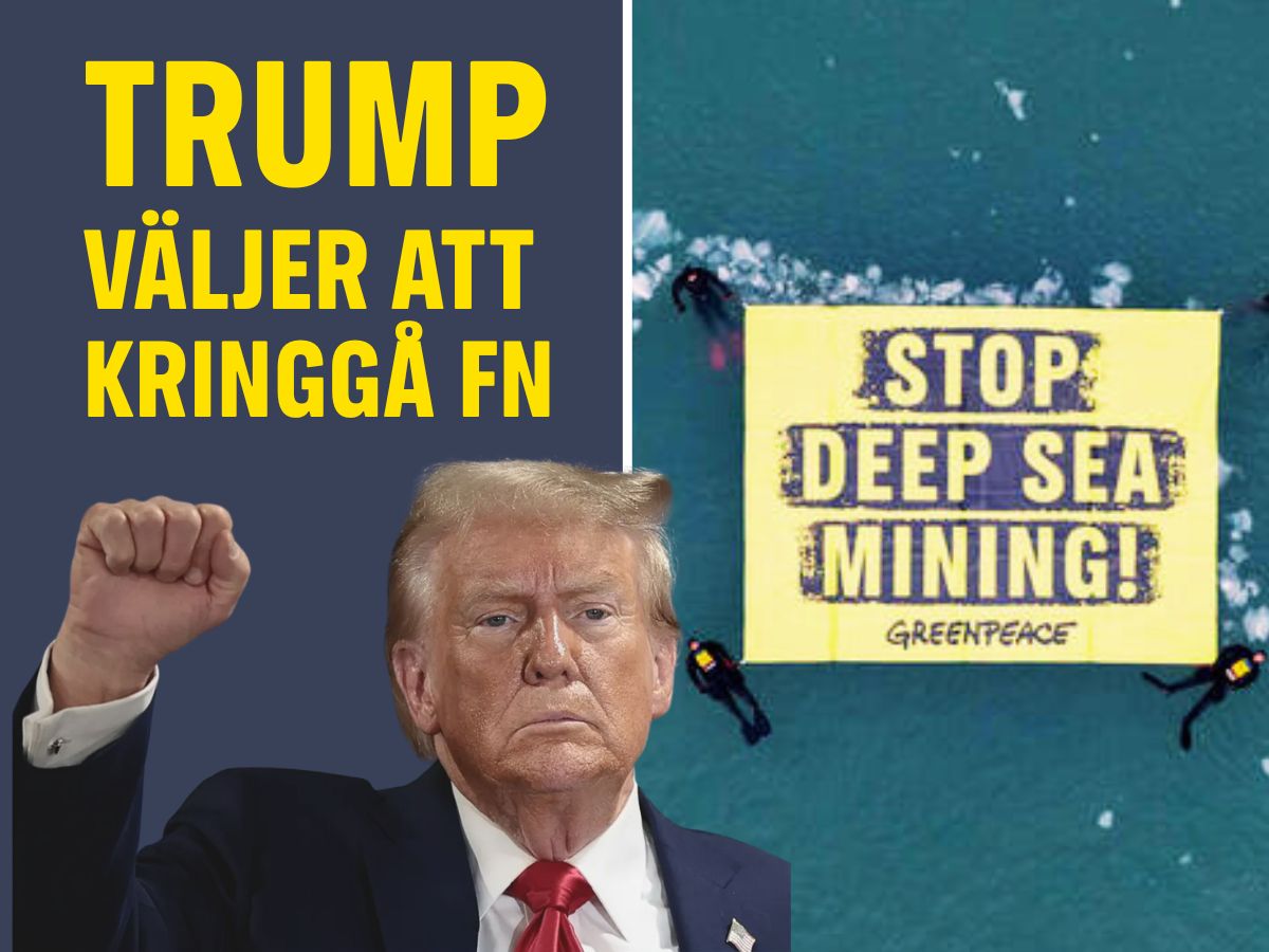 USA kringgår FN för att öppna för djuphavsgruvdrift – Greenpeace varnar för globalt miljöhot