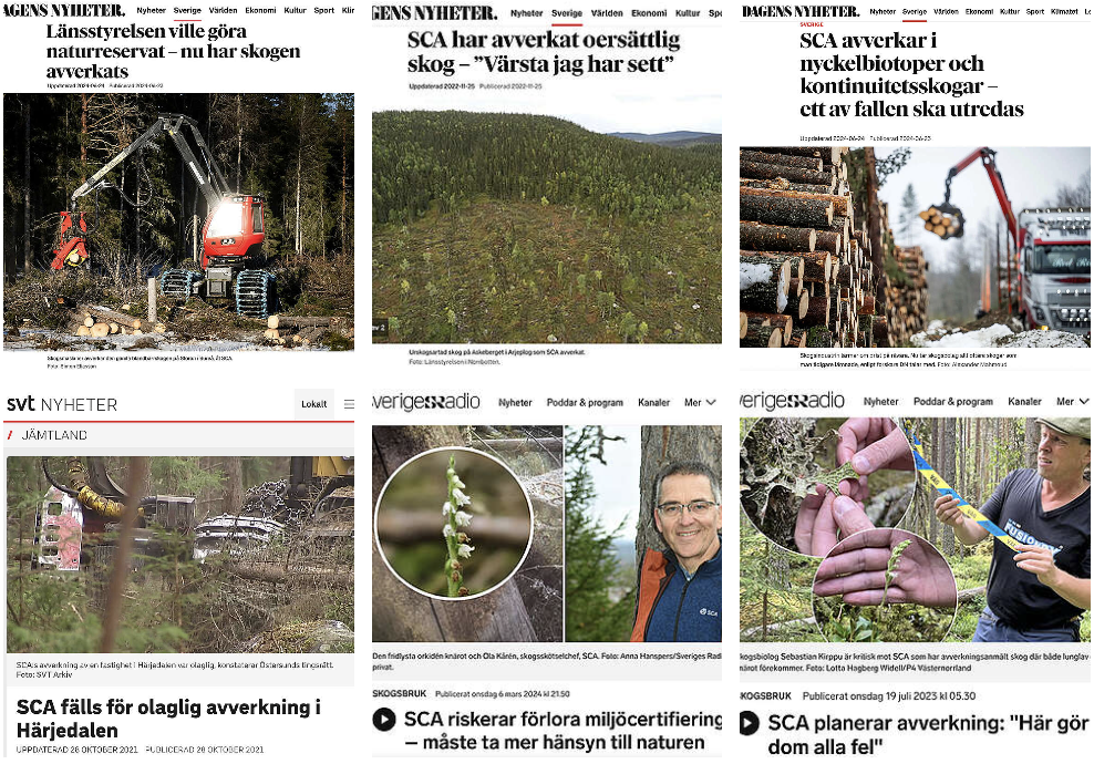 SCA:s systematiska lagbrott – så kringgår skogsjätten miljöskyddet
