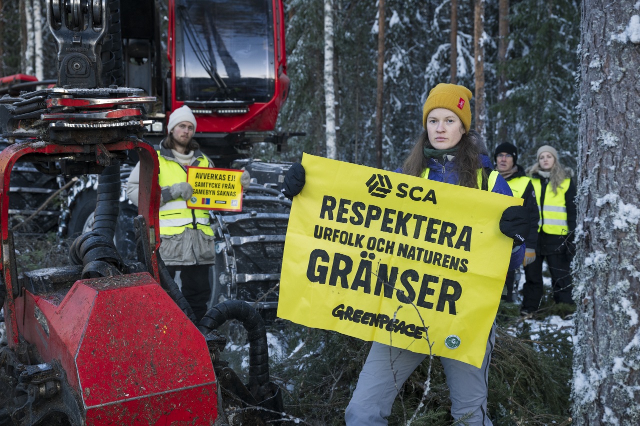 Stoppa SCAndalen! skydda svensk skog