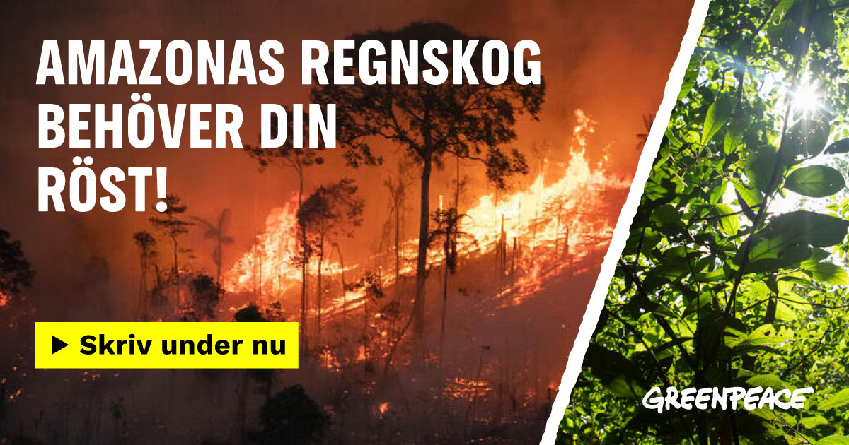Skydda Amazonas, rädda klimatet!