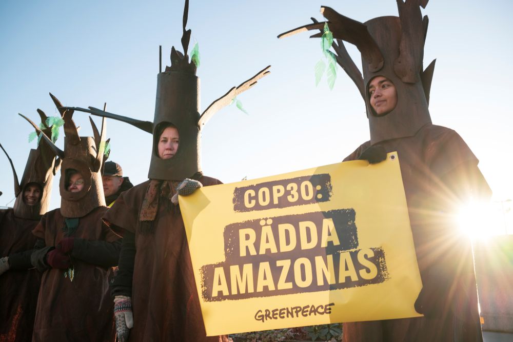 20 000 svenskar och sex träd uppmanar regeringen: skydda Amazonas