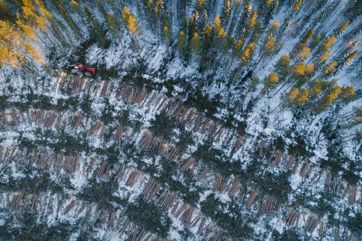 Göran Persson har blivit lobbyist för gårdagens lösningar