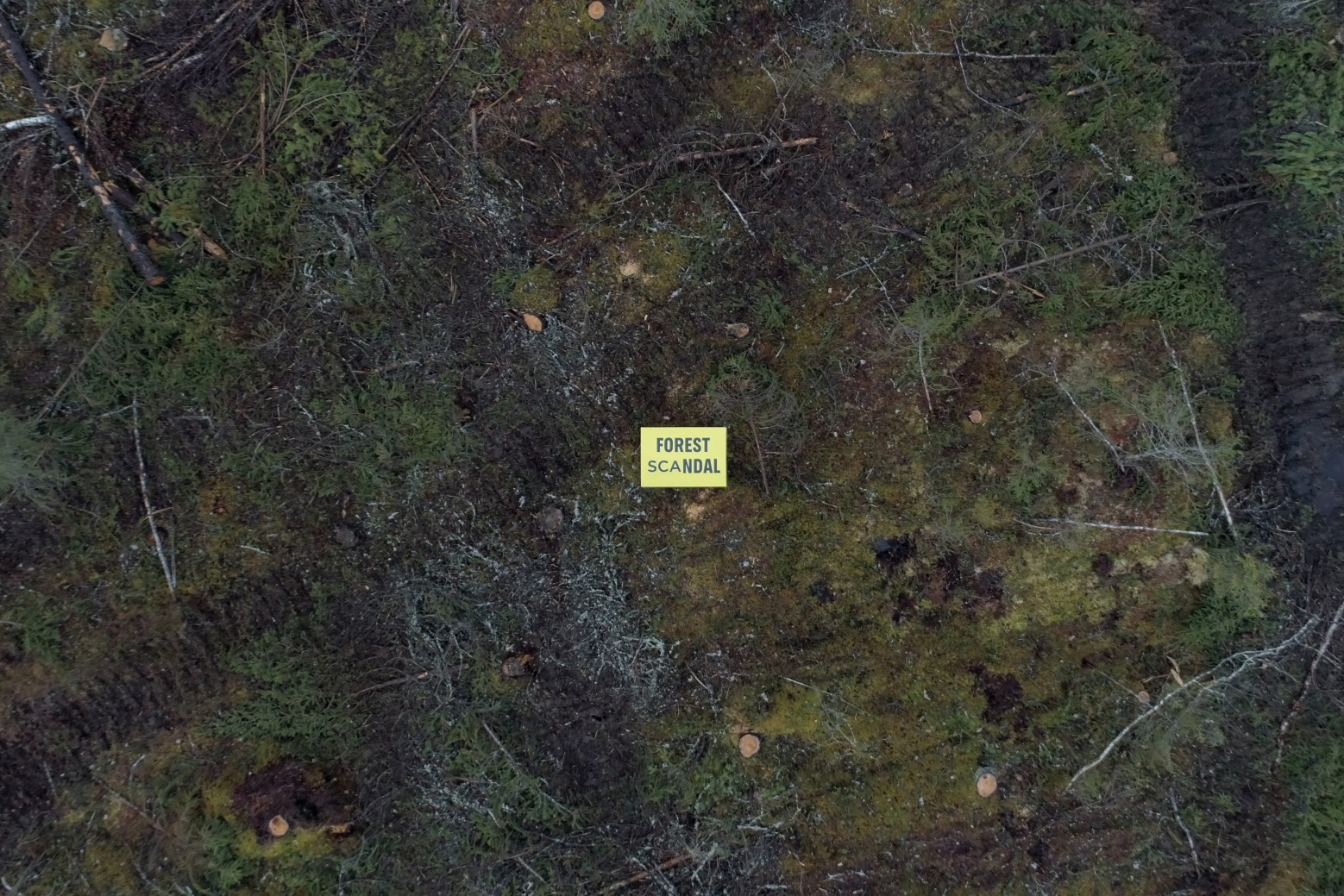 E-handelsjätten Zalando dumpar SCA – ännu ett storbolag flyr kontroversiellt svenskt skogsbruk