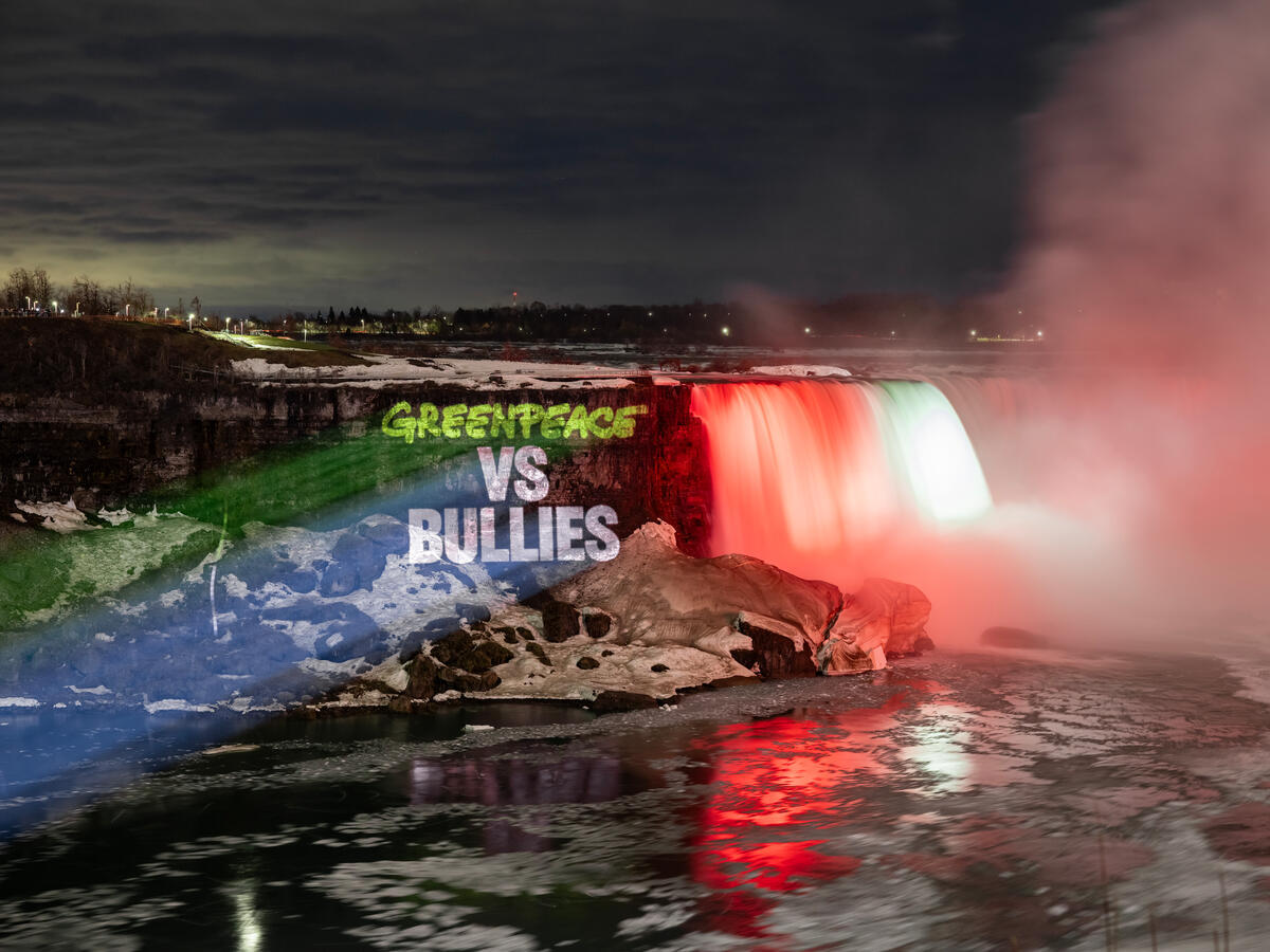 Vad kostar din yttrandefrihet? Poddavsnitt om SLAPP ute nu!