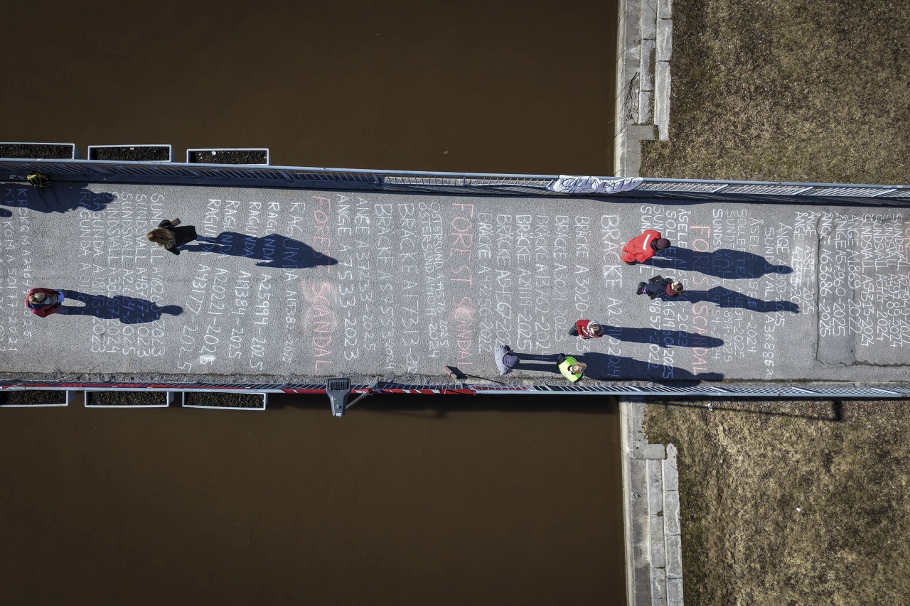 SCA avverkar systematiskt skog som myndigheter vill skydda – protest vid årsstämma idag