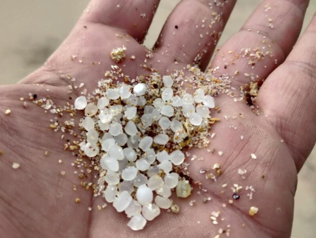 Hur undviker man mikroplast i kroppen? 10 enkla sätt att minska din exponering