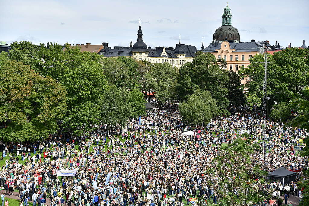 Jana Eriksson_Greenpeace 03
