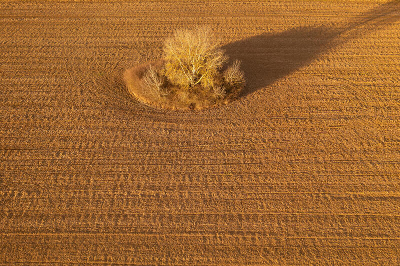 Slovakia Plagued by Drought