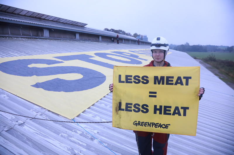 End this Meat Madness Protest in Denmark