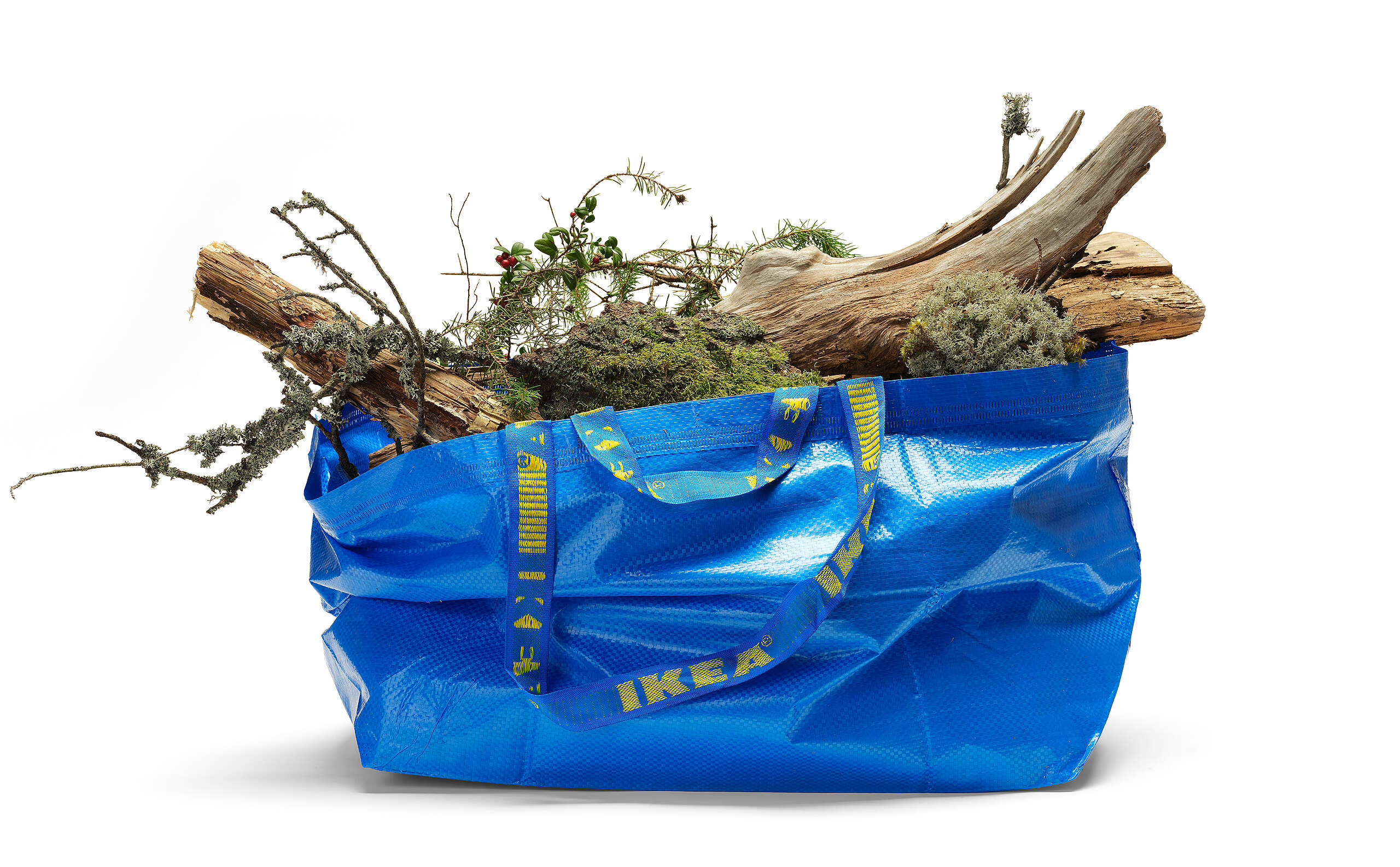 Ikea använder virke från skogar som behöver skyddas