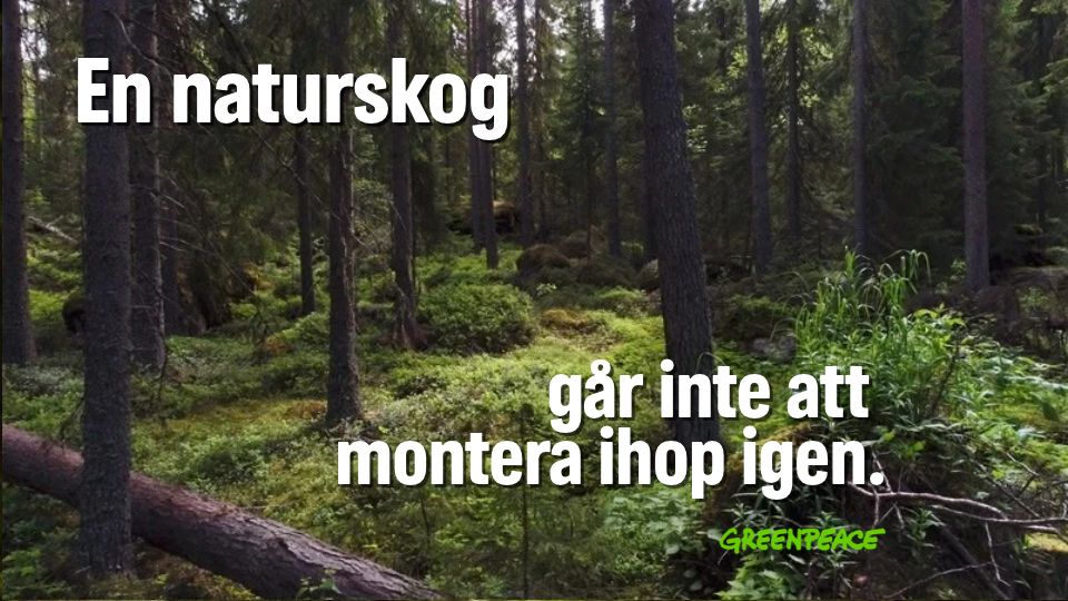 P4 banner - svensk skog + slogan 1