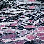 世界水日：你應該要知道的十個真相
