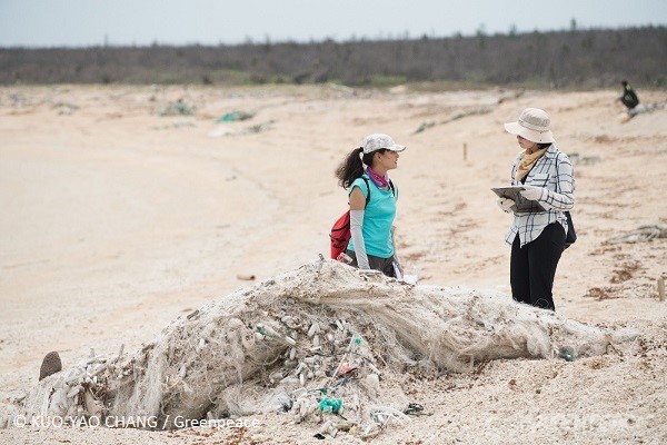 廢棄魚網是澎湖海岸常見的海洋廢棄物，容易造成海洋生物的肢體損害。