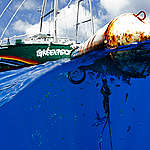 Rainbow Warrior and FAD in the Pacific Ocean. © Paul Hilton / Greenpeace