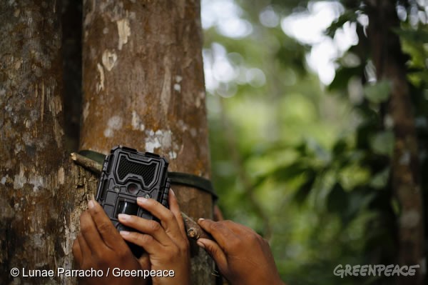 亞馬遜原住民以科技方式對抗非法伐木