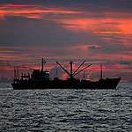 Fishing Vessel in the Pacific Ocean. © Alex Hofford / Greenpeace