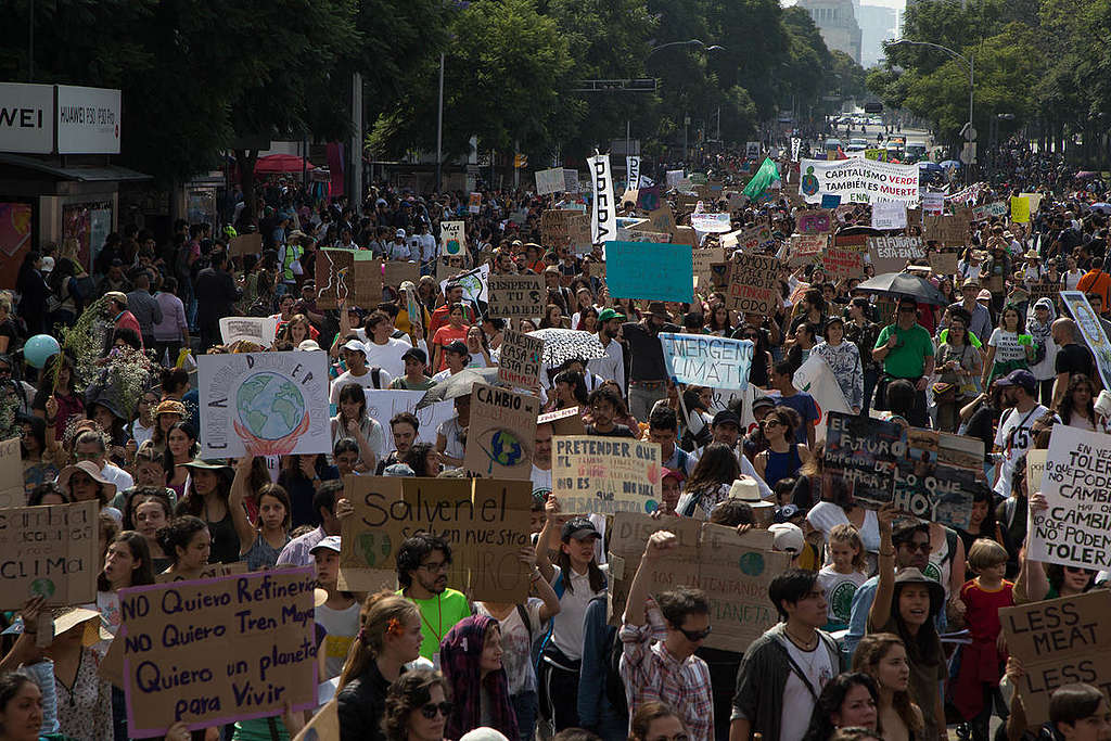 9月20日墨西哥響應全球氣候罷課行動。