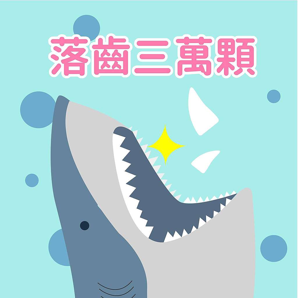 鯊魚趣味小知識:牠一輩子都在換牙!鯊魚一生都能更新或替換牙齒(不怕蛀牙真好啊QQ),不同種類的鯊魚替換週期略有不同,有些鯊魚一生中可以換超過三萬顆牙齒。