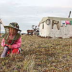 Dolgan nomads with reindeer herd. © Bernd Roemmelt / Greenpeace