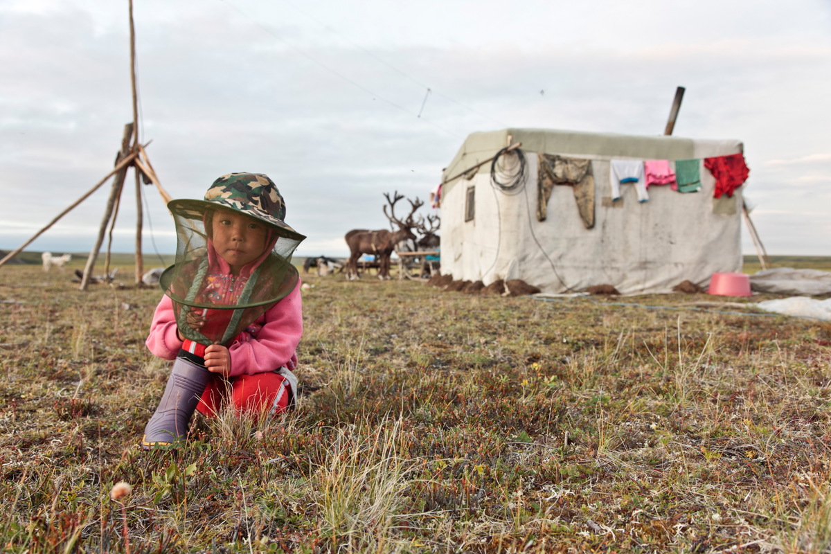 Dolgan nomads with reindeer herd. © Bernd Roemmelt / Greenpeace