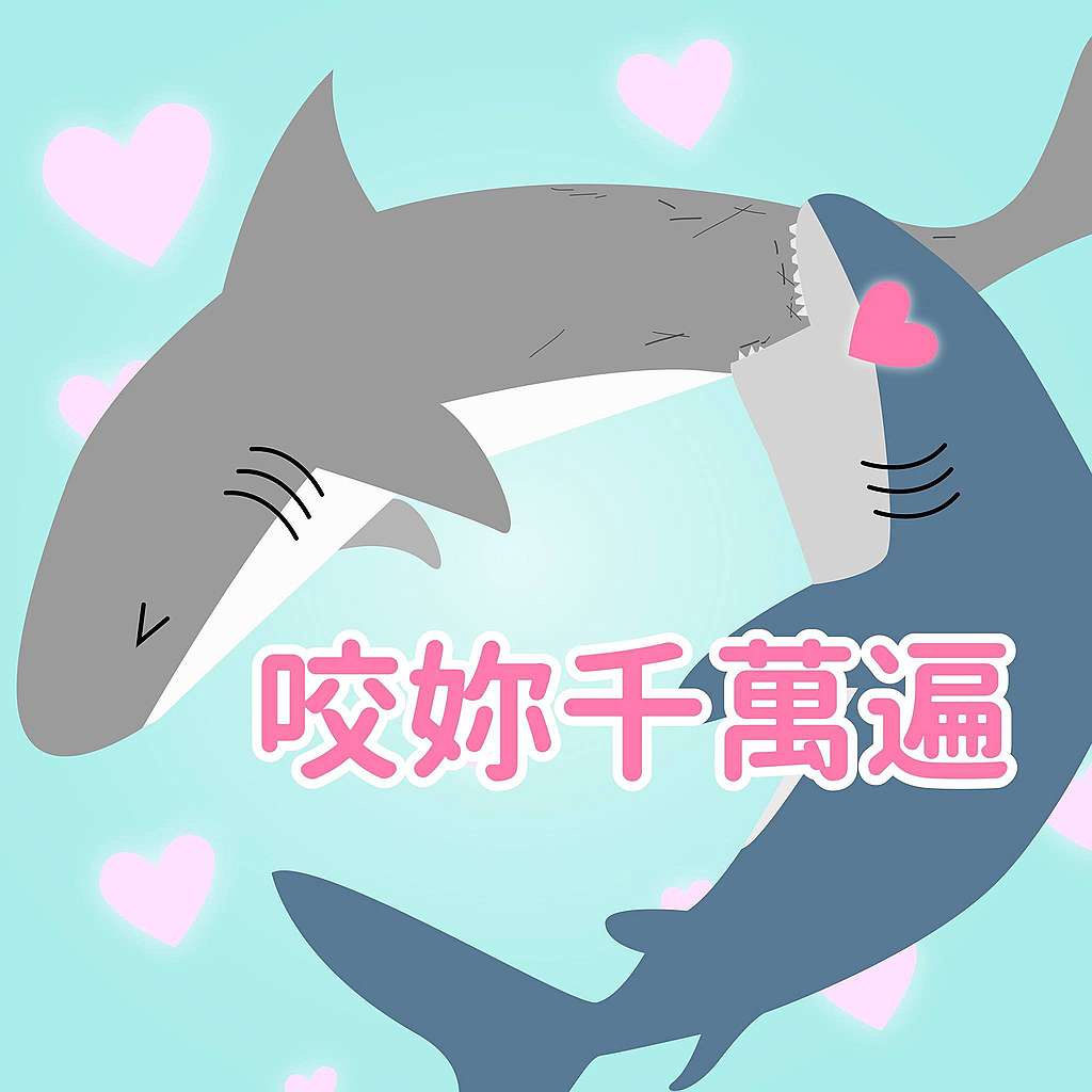 鯊魚趣味小知識:愛她就忍不住要咬她?很多種類的鯊魚都是母鯊的皮較厚,母鯊魚的皮膚可以是雄鯊魚皮膚的兩倍厚,為什麼呢?據說是為了承受在交配過程中被雄鯊魚啃咬!哦真是厚重的愛呀~