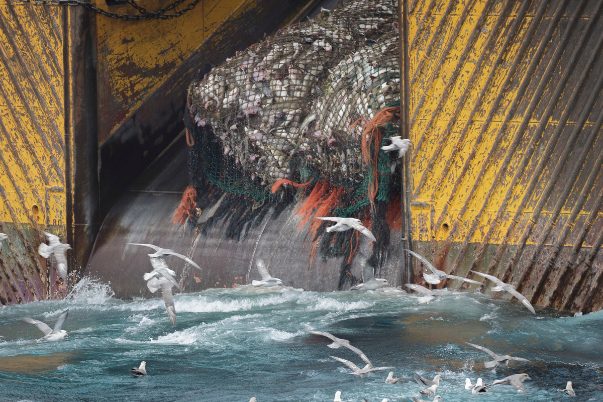 巴倫支海（Barents Sea）中利用底拖網捕魚的漁船。底拖網漁法已對海底環境及海洋生態造成巨大破壞。