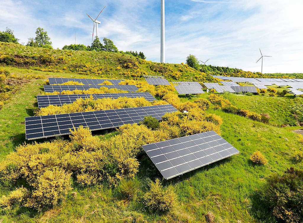 選擇再生能源是其中一項能夠對抗氣候變遷的方式，無論是太陽能或風力發電，都比化石燃煤更低碳排又友善環境。