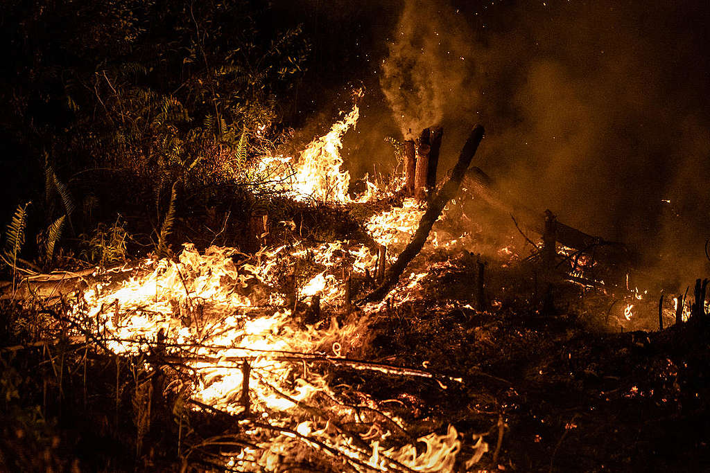 8月，印尼加里曼丹中部已開始發生森林大火。