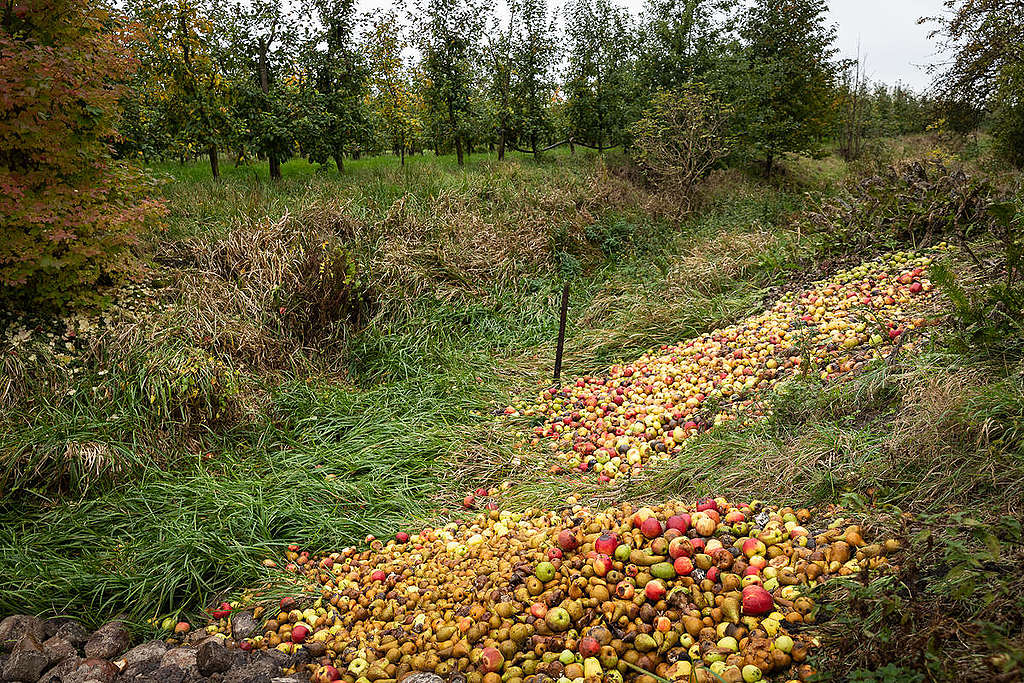 原告農夫Claus Blohm的果園因極端氣候、蟲害與疾病，作物嚴重受損。