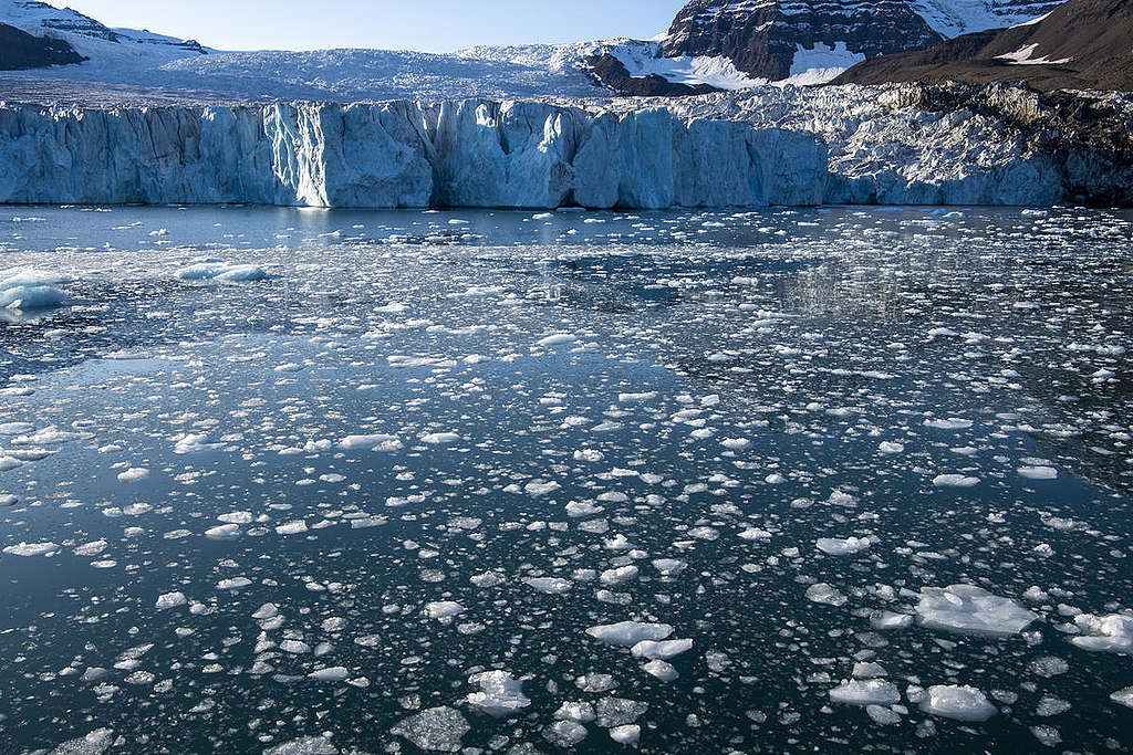 格陵蘭東岸的冰川。