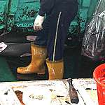 Shark Finning on Longliner