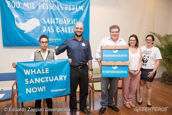 2016年，綠色和平於國際捕鯨委員會會議上，再次提議設立南大西洋鯨於保護區。