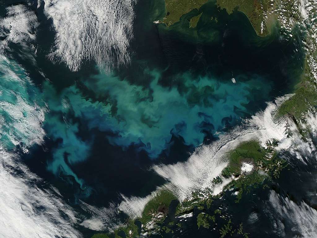 2019年美國太空總署（NASA）從空中拍下阿拉斯加的白令海，海中的浮游植物繁殖旺盛。