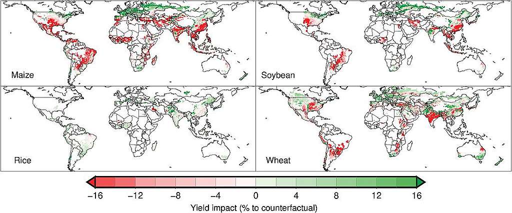 （點圖可放大）氣候變遷對大米、大豆、稻米和小麥（左上至右下）年均產量的影響。1981-2010年間糧食作物年產量受氣候變遷影響增加用綠色顯示，減少用紅色顯示。