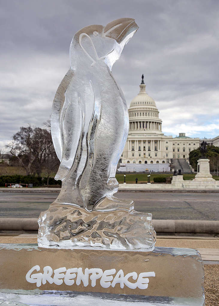 美國華盛頓展示「消失的企鵝」冰雕行動。