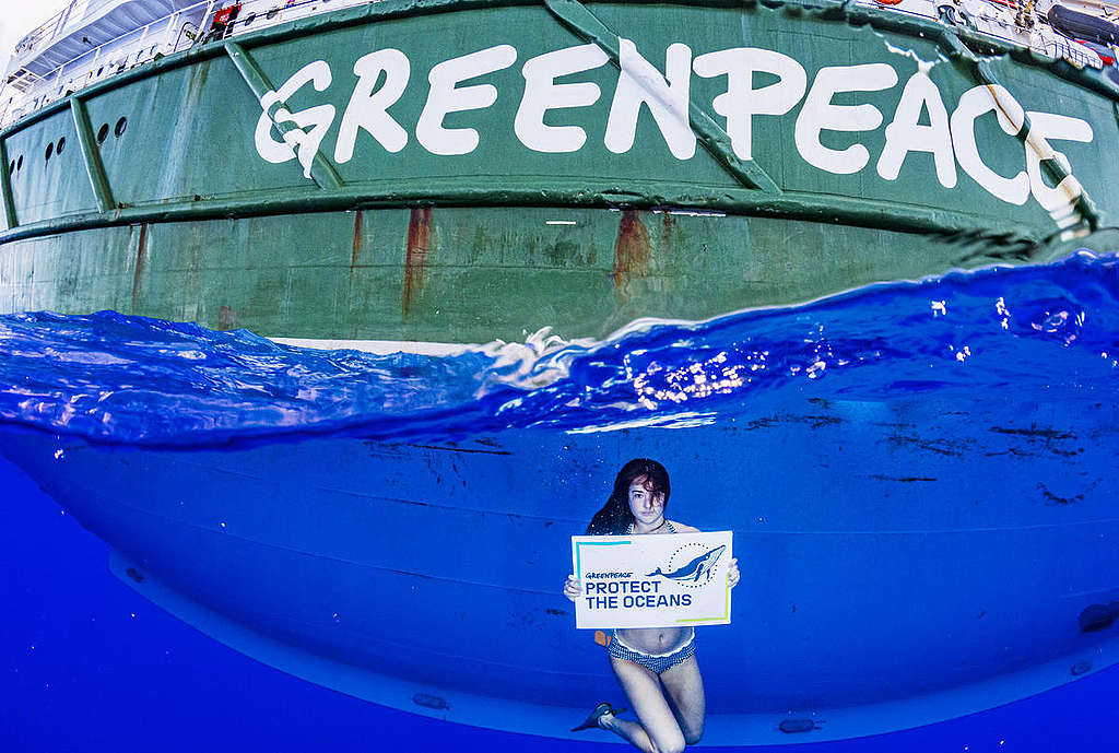 雪琳伍德利參與綠色和平船艦調查之旅，見證馬尾藻海受塑膠污染的情形。