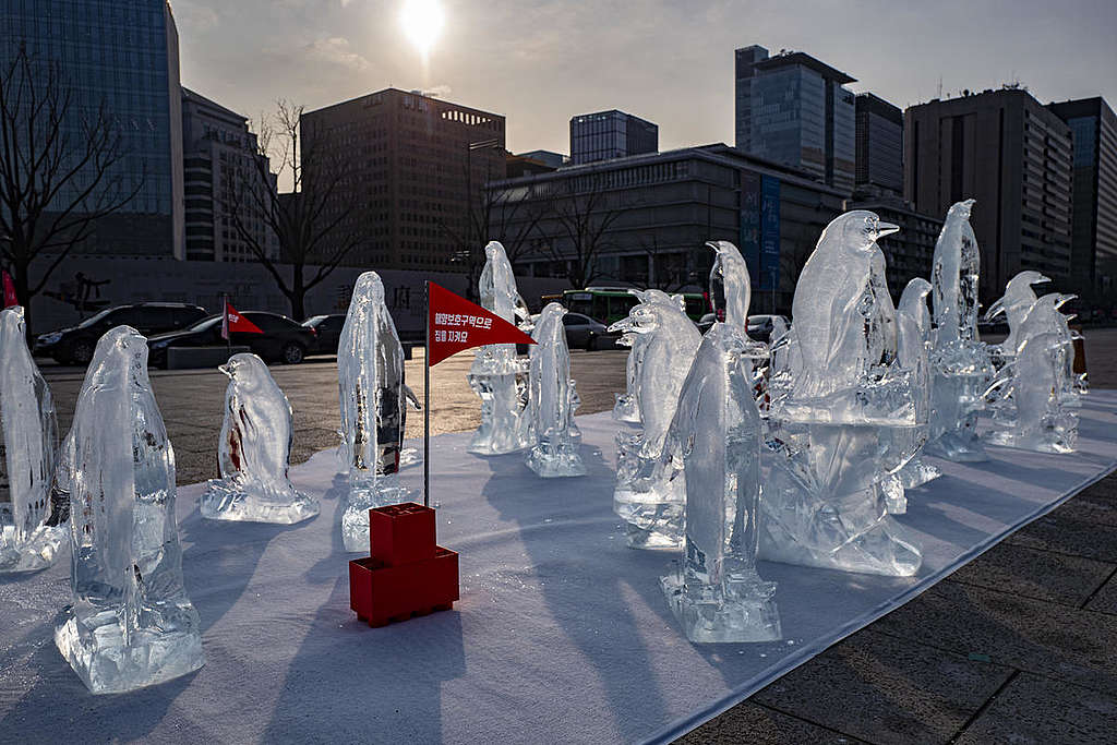韓國首爾加入「消失的企鵝」冰雕行動。