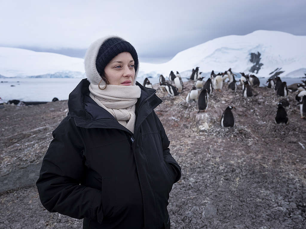 瑪莉詠柯蒂亞與綠色和平調查船艦前往南極，見證氣候變遷對當地造成的生態衝擊。