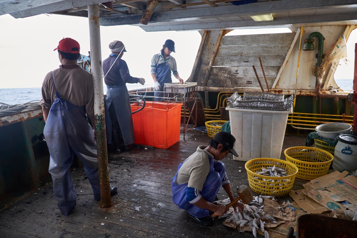 遠洋漁業在缺乏管理、成本提高的壓力下，出現強迫勞動、工時過長、暴力虐待等現象。