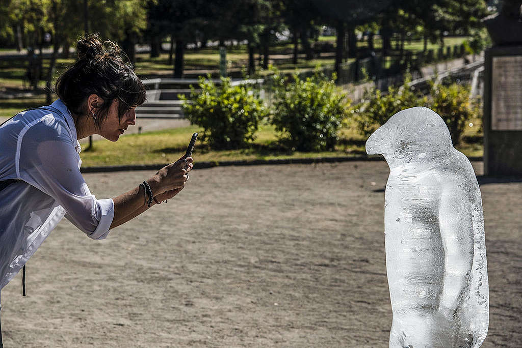 智利聖地牙哥參與「消失的企鵝」冰雕行動。