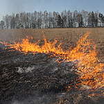Firefighters in the Radioactive Contaminated Bryansk Region. © Vladislav Zalevskiy / Greenpeace