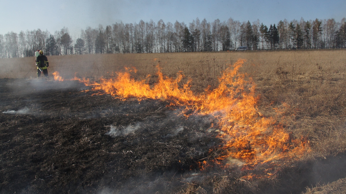 Firefighters in the Radioactive Contaminated Bryansk Region. © Vladislav Zalevskiy / Greenpeace