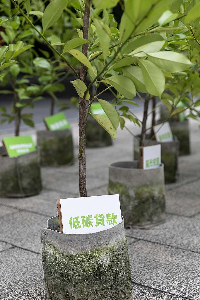 「臺灣烏心石」樹苗，象徵綠色振興建議在臺灣落地生根的寄望，同時確保環保署上下都能正視綠色振興的訴求。